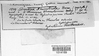 Image Associated With the Occurence